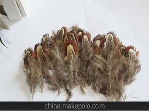 舞臺服裝輔料供應商與批發(fā)市場全攻略 采購策略與價格解析